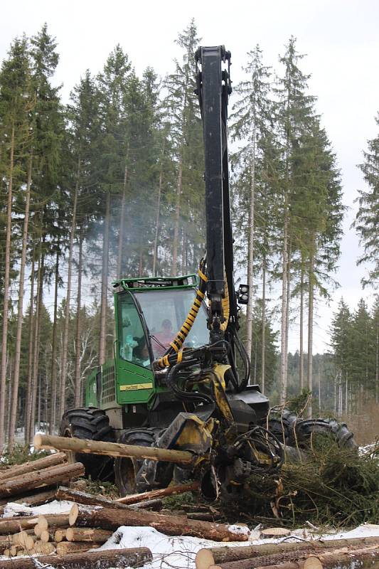 Harvestory jsou velkými pomocníky i Lázeňských lesů. Nyní zpracovávají kalamitu poblíž policejní střelnice nad Hubertusem.