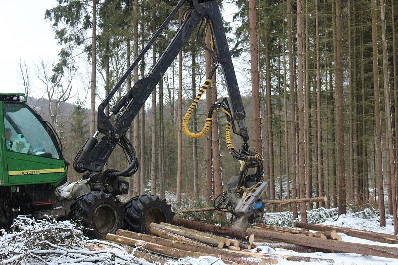 Harvestory jsou velkými pomocníky i Lázeňských lesů. Nyní zpracovávají kalamitu poblíž policejní střelnice nad Hubertusem.