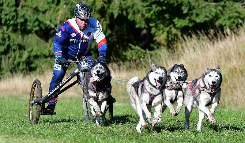 Abertamský sprint přilákal na start závodu devadesátku mašérů, kteří se představili v patnácti kategoriích. 