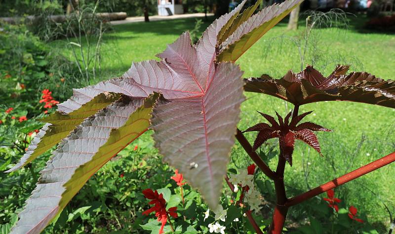 Bečovská botanická zahrada