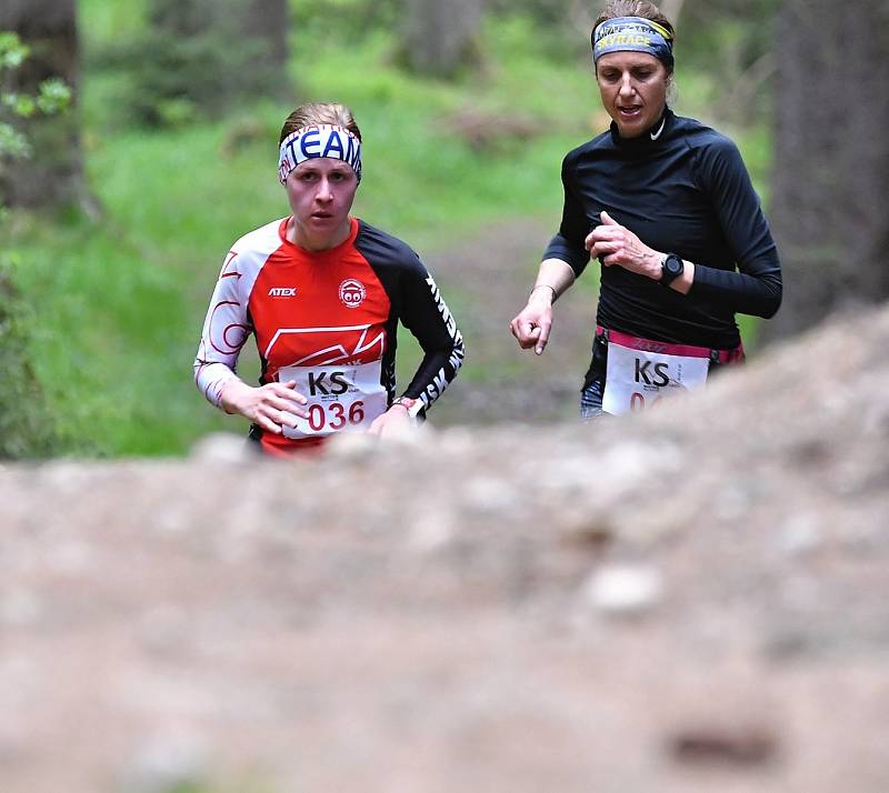 WITTE Bike Team nachystal na tuto sobotu, tedy 19. června, atraktivní krosový závod Krušnej seběh.