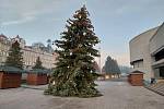 Karlovarský vánoční strom už na začátku nového roku nebyl žádnou ozdobou města.