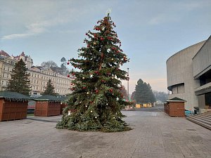 Karlovarský vánoční strom už na začátku nového roku nebyl žádnou ozdobou města.