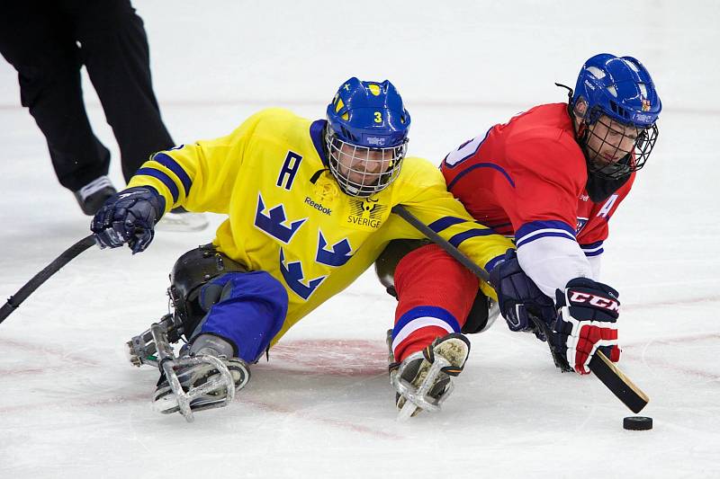 Paralympiáda: Česko - Švédsko 2:1 po sn