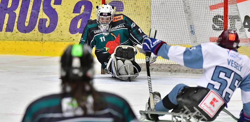 Již dva dny bojují v rámci I. ročníku Karlovy Vary Para Ice Hockey Tournament v lázeňském městě na ledě KV Areny o vítěznou trofej čtyři para hokejové výběry.