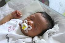 Tuan Anh Than z Karlových Varů se narodil 4. srpna 2020 v karlovarské porodnici.