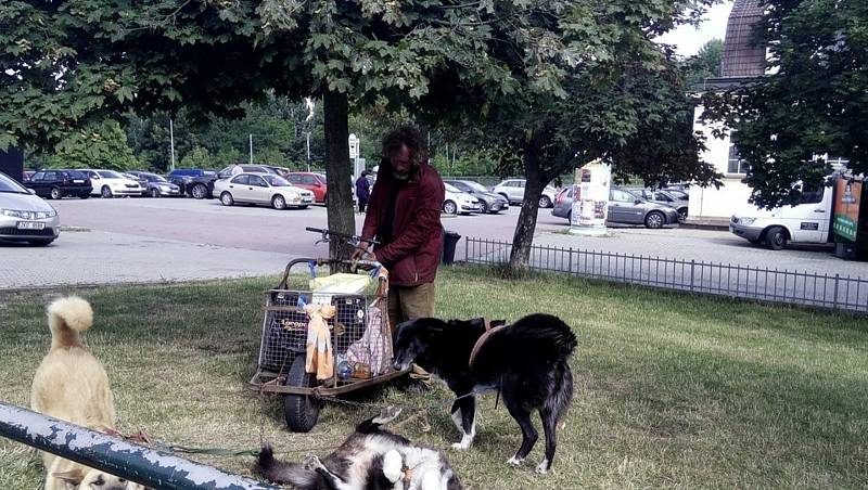 Muž z Belgie pobýval v Karlových Varech se svými psy asi od roku 2015.