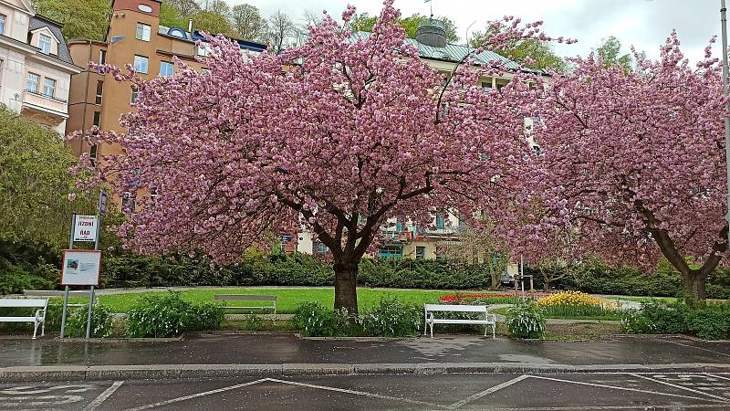 Takto vypadal park vloni v květnu.