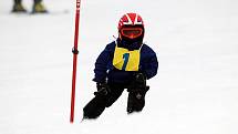 Kids Cup 2010. Na premiérovém Kids Cupu řádily lyžařské naděje. Obří slalom zvládli v miniareálu na Klínovci i ti nejmenší.