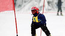 Kids Cup 2010. Na premiérovém Kids Cupu řádily lyžařské naděje. Obří slalom zvládli v miniareálu na Klínovci i ti nejmenší.