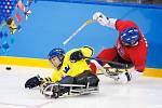 Paralympiáda: Česko - Švédsko 2:1 po sn