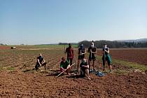 Běžci z Rozběháme Vary už nějaký ten den brigádničí na Farmě Stebno u Petrohradu. Foto: Rozběháme Vary