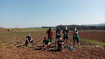 Běžci z Rozběháme Vary už nějaký ten den brigádničí na Farmě Stebno u Petrohradu. Foto: Rozběháme Vary