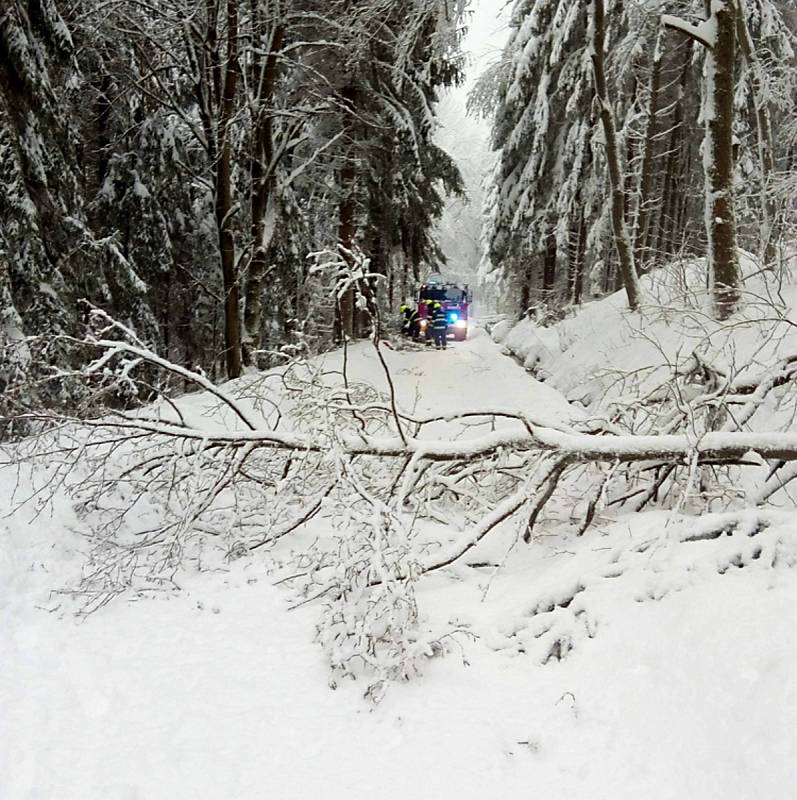 Hasiči pomáhají s odklízením sněhu v Božím Daru a odstraňováním popadaných stromů v okolních lesích.