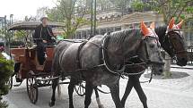 Lázně plné turistů. I když světem hýbe finanční recese, Karlovy Vary si na nezájem turistů z různých států světa stěžovat nemohou.