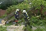 Spadlý strom zatarasil hlavní cestu v Sedleci.
