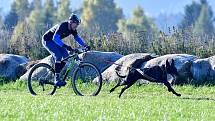 Abertamský sprint přilákal na start závodu devadesátku mašérů, kteří se představili v patnácti kategoriích. 