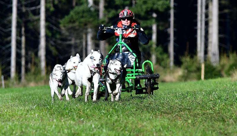 Abertamský sprint přilákal na start závodu devadesátku mašérů, kteří se představili v patnácti kategoriích. 