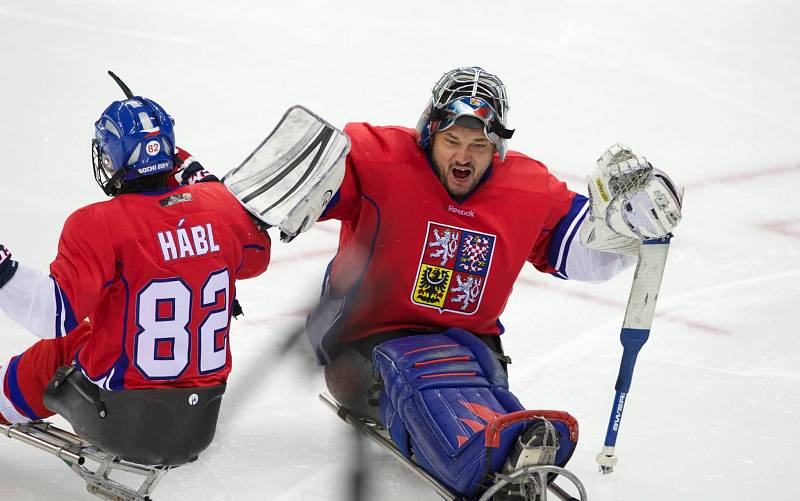 Paralympiáda: Norsko - Česko 2:1 po sn