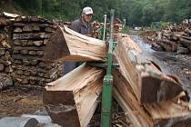 Příprava palivového dřeva v areálu Lázeňských lesů Karlovy Vary