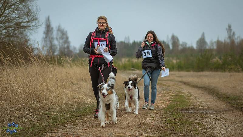 Takto vypadal třetí ročník 1/4 a 1/2maraton Okolo Meluzínky.