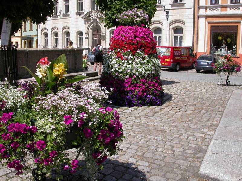 Miloslav Štěpán propadl kouzlu květin a dnes je za ním vidět kus skvělé práce.