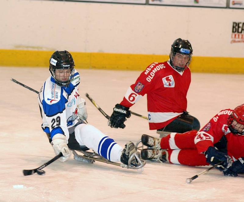 Mistr České sledge hokejové ligy - SKV Sharks Karlovy Vary