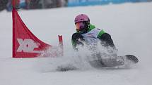 Snowboardisté měli na programu paralelní obří slalom. Ve všech čtyřech kategoriích si velmi dobře vedl Moravskoslezský kraj, který získal celkem pět medailových umístění. V kategorii mladších dívek zazářil kraj Ústecký. Foto: Radek Miča/Czech Olympic