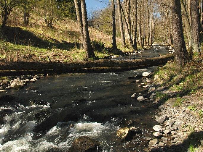 PŘEHRADA Hlubocká Pila by měla vzniknout v údolí potoka Liboc. 