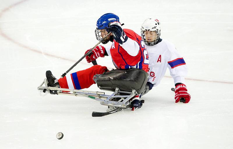 Paralympiáda: Česko - Švédsko 2:1 po sn