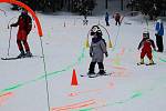 Tradiční maškarní rej na lyžích se v sobotu uskutečnil v lyžařském areálu Velflink v Perninku.