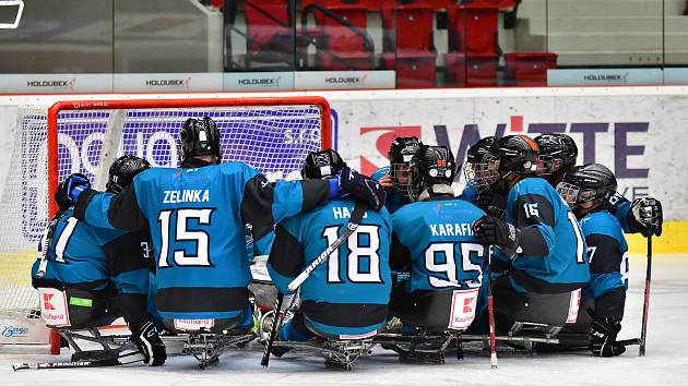 SKV Sharks Karlovy Vary. Ilustrační foto.