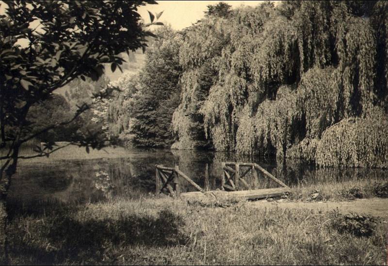 Dobové fotografie Bečovské botanické zahrady.