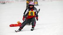 Kids Cup 2010. Na premiérovém Kids Cupu řádily lyžařské naděje. Obří slalom zvládli v miniareálu na Klínovci i ti nejmenší.