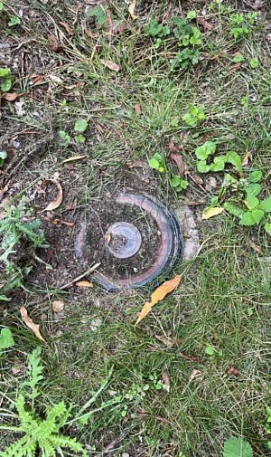 Při sekání trávy na zahradě na Karlovarsku narazil jednačtyřicetiletý muž na protitankovou minu.