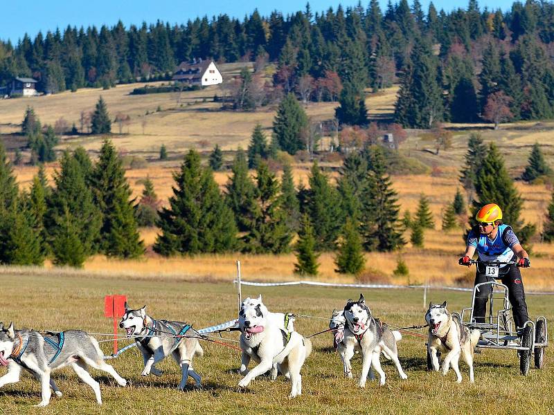 ABERTAMSKÝ SPRINT – MEMORIÁL JAROSLAVA SVOBODY. Po dva víkendové dny se v Abertamech a jejich okolí proháněla v rámci nominačního závodu na mistrovství Evropy stovka mašérů, která bojovala o účast na blížící se Evropě.