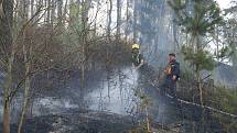 300 tisíc metrů čtverečných lesa a luk zasáhl požár, který vznikl od jisker sršících z poškozených brzd vagonu.