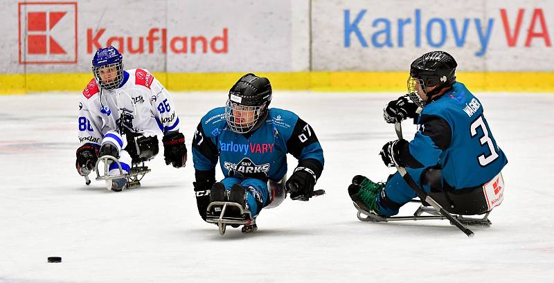 Dvě výhry během víkendu slavili v domácím prostředí para hokejisté SKV Sharks Karlovy Vary, kteří zdolali Havířov i Zlín.