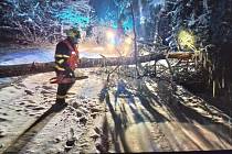 V noci z pondělí na úterý odstraňovali hasiči v Karlovarském kraji stromy spadlé na komunikace či zaparkovaná vozidla.