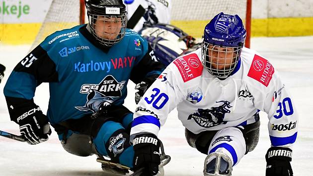 Úvodní dvoukolo parahokejové ligy mají před sebou hráči SKV Sharks Karlovy Vary, odehrají ho na zimním stadionu v Ostrově.