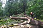 Následky bouřek v Karlovarském kraji. Hasiči řešili na 80 událostí, především na Ašsku . Čerpali vodu za zatopených prostorů a odstraňovali především stromy popadané na silnice.