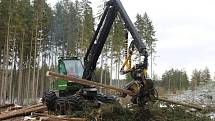 Harvestory jsou velkými pomocníky i Lázeňských lesů. Nyní zpracovávají kalamitu poblíž policejní střelnice nad Hubertusem.