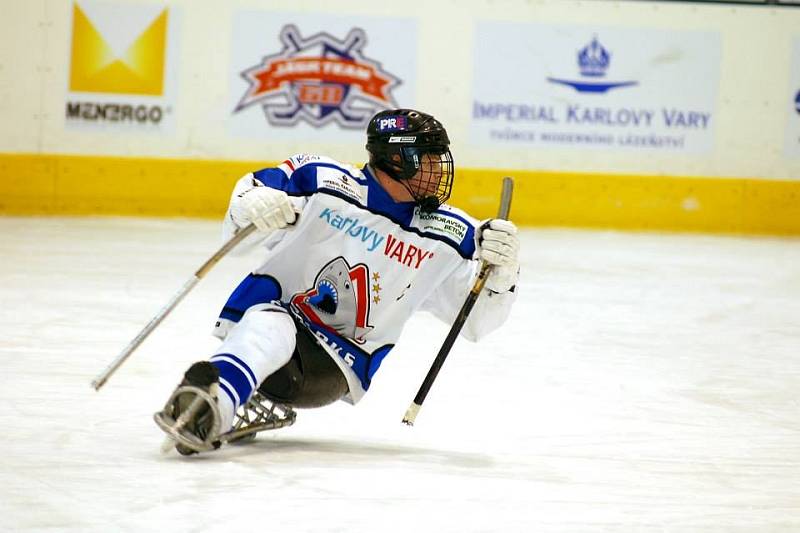 Mistr České sledge hokejové ligy - SKV Sharks Karlovy Vary