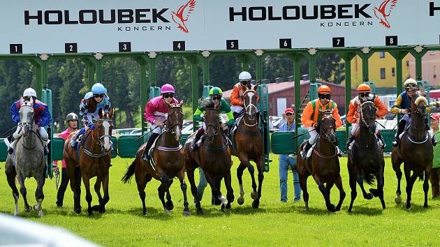 Tularka (třetí zleva) obhahuje loňský triumf v Letní ceně klisen.