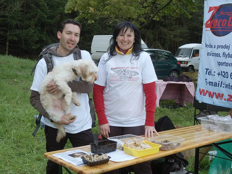 Dog Cup aneb Jak si užít se čtyřnohým parťákem.