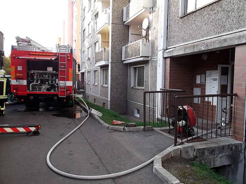 Hasiči zachránili z hořícího bytu přiotráveného psa