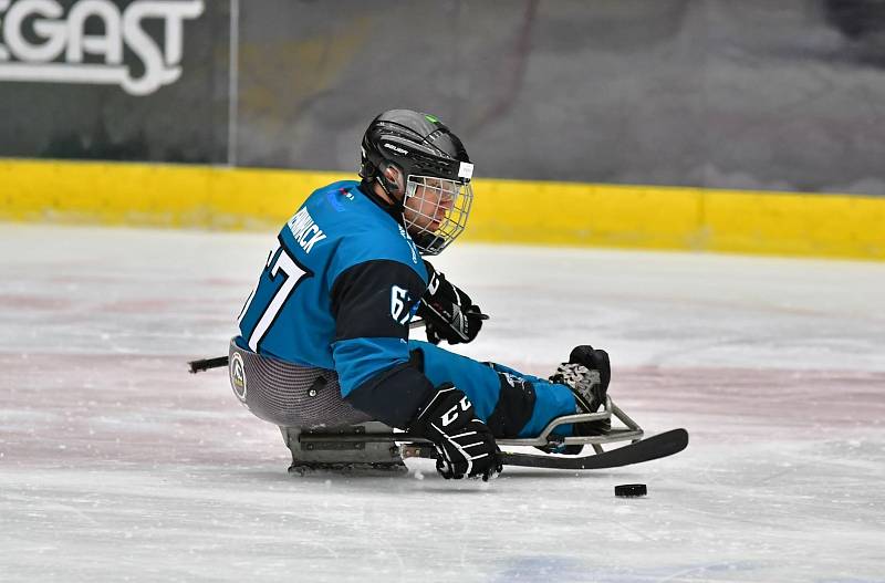 Para hokejisté SKV Sharks Karlovy Vary v souboji s pražskou Spartou urvali vysokou výhru 8:1.