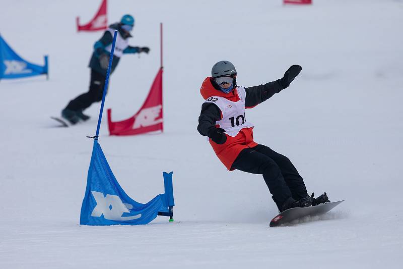 Snowboardisté měli na programu paralelní obří slalom. Ve všech čtyřech kategoriích si velmi dobře vedl Moravskoslezský kraj, který získal celkem pět medailových umístění. V kategorii mladších dívek zazářil kraj Ústecký. Foto: Radek Miča/Czech Olympic
