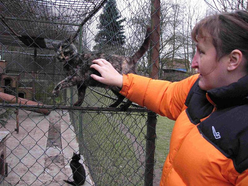 ŠTĚDRODENNÍ návštěvní den v Macíku se koná už roky. Vždy se najdou lidé, kteří sem zvířatům přinesou něco na přilepšení. Provozovatelka Macíku Hana Šimková jim poděkovala i letos.