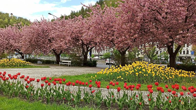 Takto vypadal park vloni v květnu.